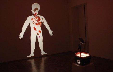 Bevis Martin & Charlie Youle, "Insides", 2013, installation with overhead projector